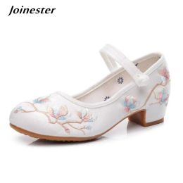 Boots Embroidered Women Retro Mary Jane Pumps Ladies Ankle Strap Dancing Shoes Vintage Ethnic Dress Shoe Summer Autumn Mid Heels