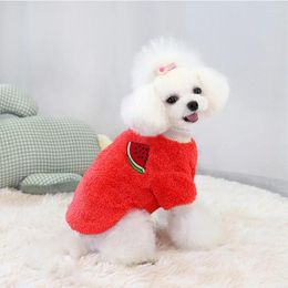 Dog Apparel Autumn Winter Warm Pet Cat Clothes For Small Cats Puppy Chihuahua Print Fruit Cartoon Pattern