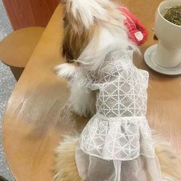 Dog Apparel Pet Clothing Spring/summer Lace Breathable Cat Supplies Fadou Teddy Dress Sun Protection