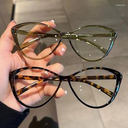 Sunglasses Retro Leopard Frame Eyeglasses Women Ins Anti Blue Light Cat Eye Glasses Trend Brand Reading Computer Eyewear Decoration