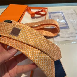 Men Designer Tie Silk Print Business Neck Ties Knitted Fashion Mens Tie Luxury Necktie