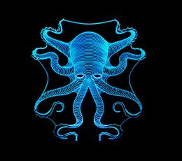 Christmas octopus night light colorful remote control 3D touch lamps visual lamp gift atmosphere decorative led lights1642439