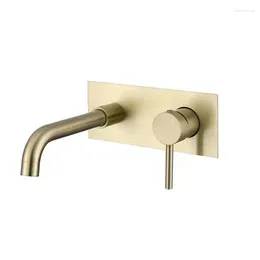 Bathroom Sink Faucets Faucet Wall Mounted Mixer Tap Dual Control Single Handle Solid Brass Rose Gold And Cold Water