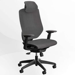 FLEXISPOT High Back Desk Swivel Computer Chair with Adjustable Seat Depth and 3D Armrest - Grey