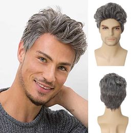 Synthetic Wigs GNIMEGIL Short Wigs Man Grey Color Synthetic Wig Cosplay Soft Heat Resistant Fiber Halloween Costume Wig Old Men Natural Wigs 240328 240327