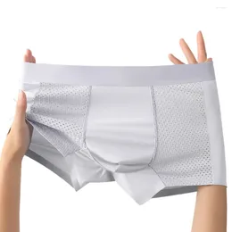 Underpants Soft Men Boxershorts Breathable Ice Silk Panties 3D Pouch Shorts Seamless Male Youth Boxers Large Size Underwear