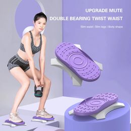Waist Twisting Home Gym Workout for Exercise Twister Exercise Board Twisters Home Twisting Waist Exercise Equipment 240312