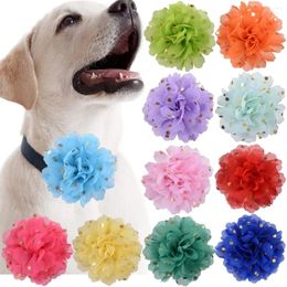 Dog Apparel 100pcs Big Flower-Collar Accessories Dots Chiffon Sliding Cat Flower Collars Bow Ties Pet Grooming Supplies