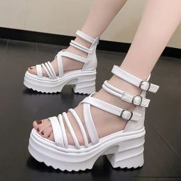 Sandals Women's Fashion Ankle Strap Wedges Sandals Platform Chunky Heel Sandals for Women 2023 Summer Thick Bottom Gladiator Shoes Woman