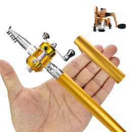 Rods 20cm Portable Pocket Telescopic Mini Fishing Pole Pen Shape Folded Fishing Rod with Reel Wheel Fishing Rod