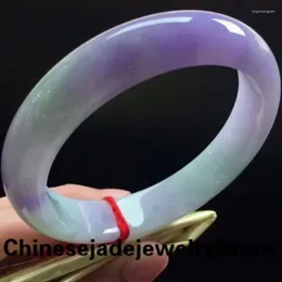 Bangle Send Certificate Burma Jade Purple Jadeite Bracelet Emerald Gemstone Jewelry Elegant Princess Certified Jades Bangles