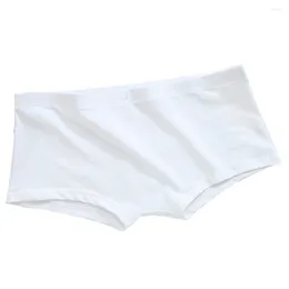 Underpants 1pc Men's Cotton Breathable Boxer Shorts Low Waist Soft Comfy Boxers Briefs Underwear Man Panties