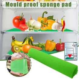 Table Mats 4PC Refrigerator Sponge Mat Philtre Cotton