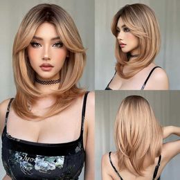 Synthetic Wigs Ash Blonde Ombre Layered Synthetic Wigs for Women Medium Long Straight Hair Wig with Middle Part Bangs Daily Use Heat Resistant 240329