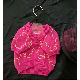 Designer Dog Autumn/winter Pink Classic Letter Pet Sweater Knitted Cat Warm Jacket V-neck