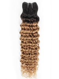 Indian Deep Wave Curly Hair Weave Bundles 1B27 Ombre Honey Blonde Two Tone 1 Bundles 1024 inch Peruvian Malaysian Human Hair Ext5606836
