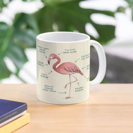 Mugs Anatomy Of A Flamingo Coffee Mug Aesthetic Cups Large For Cafe Set