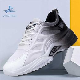 HBP Non-Brand wholesale Non-slip Wear-resistant Comfort outdoor running mens casual sports shoes