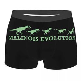 Underpants Men Malinois Evolution Underwear Belgian Dog Funny Boxer Briefs Shorts Panties Homme Mid Waist Underpants S-XXL 24319