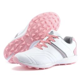 Boots New Women Golf Shoes Waterproof Lightweight Ladies Walking Golfing Sneakers Pink Blue Comfortable Golf Trainers for Women