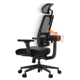 Newtral Ergonomic Home Chair, High Back Desk with Unique Adaptive Lumbar Support, Adjustable Headrest, Seat Depth Adjustment, 96°-126° Tilt Function, 4D Armrest