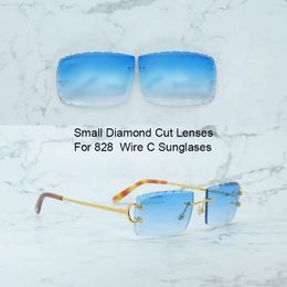 Small Diamond Cut Lenses For Carter 828 Wire C Sunglasses Lens Only Sunglasses Lens Color Only Replacement Part 2 Hole