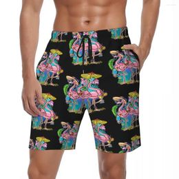 Men's Shorts Swimsuits Cool Cartoon Flamingo Board Summer Funny Hawaii Beach Short Pants Male Surfing Quick Drying Swimming Trunks