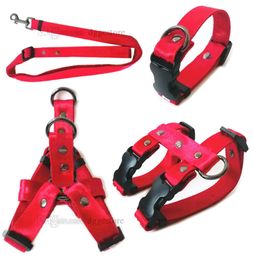 Trendy Dog Collars Leashes Set Designer Dog Harness Seat Belts Printed Letter Pet Collar for Small Medium Big Dogs Cat French Bulldog Poodle Corgi Pug Red B546294221