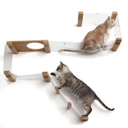 Catastrophic Tree Mounted Cat Furniture Set with Climbing Shelves and Cat Bridge Lounge
