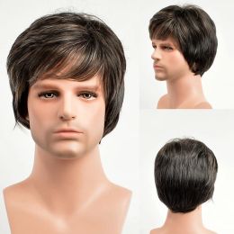 Wigs OUCEY Pixie Cut Short Wigs for Men Straight Hair Men's Wig Natural Black Wigs Heat Resistant Fibre Synthetic Wig