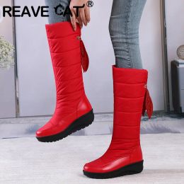Boots REAVE CAT Female Winter Knee High Boots Round Toe Thick Heel 4.5cm Lace Up Waterproof Warm Casual Daily Snow Booty Plus Size 44