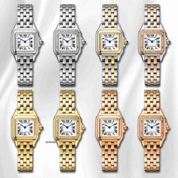Orologio da donna di design Sono disponibili orologi sportivi in acciaio pregiato maltosio da 22 mm e 27 mm