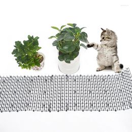 Cat Carriers Garden Scat Mats Repellent Mat Safety Trees Skewer Prickle Strips Spikes Prevent Dog Mesh Plastic Spike Pet Products