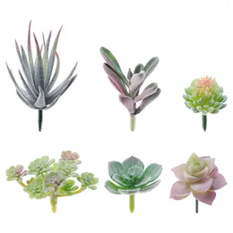 Decorative Flowers Artificial Plants Assorted Succulents Picks Simulation For Office Decoration 6pcs