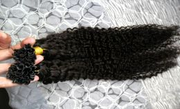 U Tip Hair keratin stick tip hair extensions kinky curly 100g 100s Natural Colour u tip human hair extensions3294510