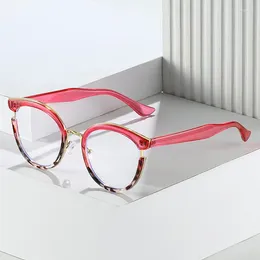 Sunglasses Frames Vintage Designer TR90 Cat Eye Glasses Frame Women For Men Fashion Trend Ladies Myopia Reading Eyeglasses