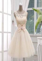 Light Champagne New Arrival Short Wedding Dresses Bridesmaid Dresses Knee Length Tulle Wedding Gown Laceup With Bow Custom1083113