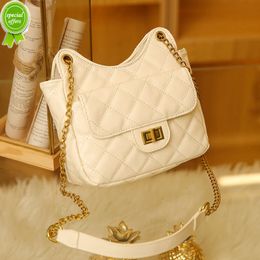 Source Factory High Quality Package 2024 Spring/summer New Popular Small Bag Womens Lingge Chain Fashion Versatile Simple Crossbody Comfortable Shoulder