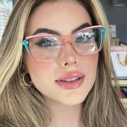 Sunglasses 2024 Fashion Colourful Cat Eye Anti Blue Light Glasses For Women Ultra TR90 Eyeglass Frame Cross Optical