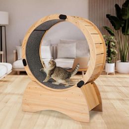 Sports Running Wheel Indoor Cat Climbing Frame with Running Wheel and Scratching Board