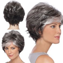 Wigs Middle Aged and Elderly Women's Fluffy Silver Grey Short Hair Micro Roll Chemical Fibre High Temperature Filament Wigs