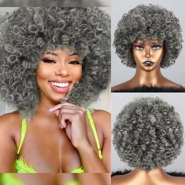 Wigs Afro Kinky Curly Wigs With Bangs Synthetic Wigs for Natural Hair Silver Gray Wig Cosplay Heat Resistant Fiber Fluffy Wig