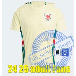 Wales Football 2024 Wales Soccer Jerseys JAMES BALE 24 25 Welsh Football Shirts JOHNSON N.WILLIAMS RODON T.ROBERTS CABANGO LEVITT MOORE THOMAS Men Kids Kit Jer 90