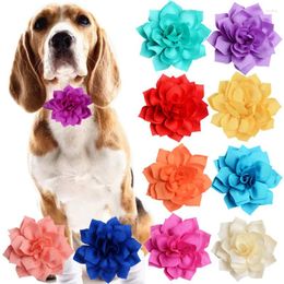 Dog Apparel 100pcs Flower-Collar Accessories Cat Bowties Collar Slidable Bow Ties Charms Pet Products