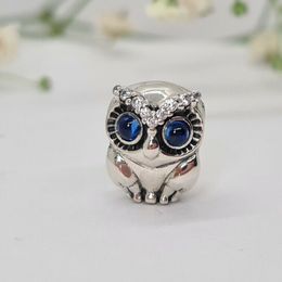 Sparkling Owl Charm S925 Srebrny materiał Fit Charm Bead Bransoletka biżuteria 798397nbcb Modna biżuteria