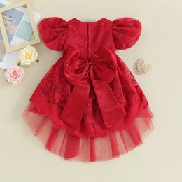 Girl Dresses Born Baby Flower Dress Embroidered Puff Sleeve Tulle Tutu Formal Wedding Party Pageant Ball Gown