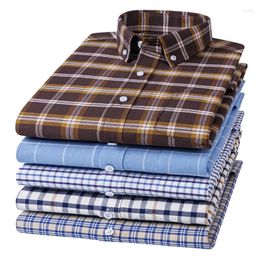 Men's Casual Shirts Oxford Men Long Sleeve 100 Cotton Striped Plaid Shirt Slim Fit Formal Social