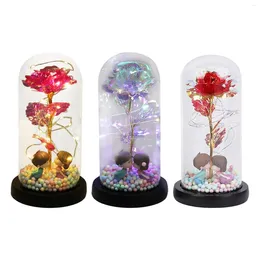 Decorative Flowers Preserved Flower For Women Anniversary Special Moment Mother's Day