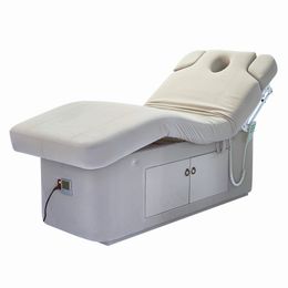Comfortable Beauty Spa Bed 2 Motors Electric Massage Table Electric Adjustable Beauty Recliner Massage Bed