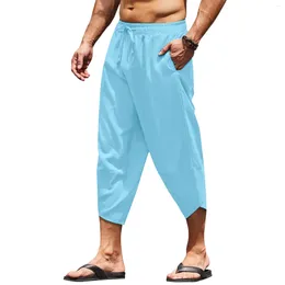 Men's Pants Fashion Harajuku Summer Beach Hawaii Harem Casual Men Wide Leg Cotton Linen Trousers Baggy Bottoms